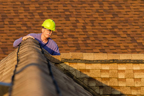 Best Roof Gutter Cleaning  in Welch, WV